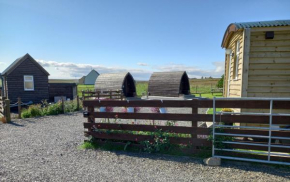 Hillside Camping Pods and Shepherd's Hut